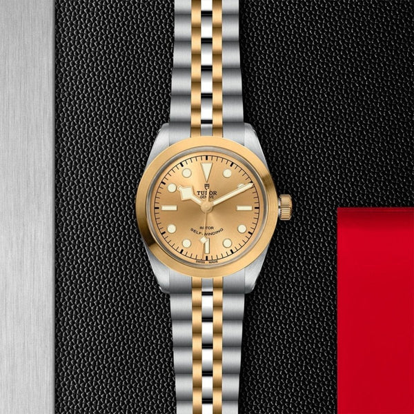 TUDOR Black Bay 36 S&G - M79503-0002 Watches | Cooper – Cooper 
