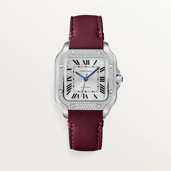 Cartier SANTOS DE CARTIER WATCH - W4SA0005 Watches
