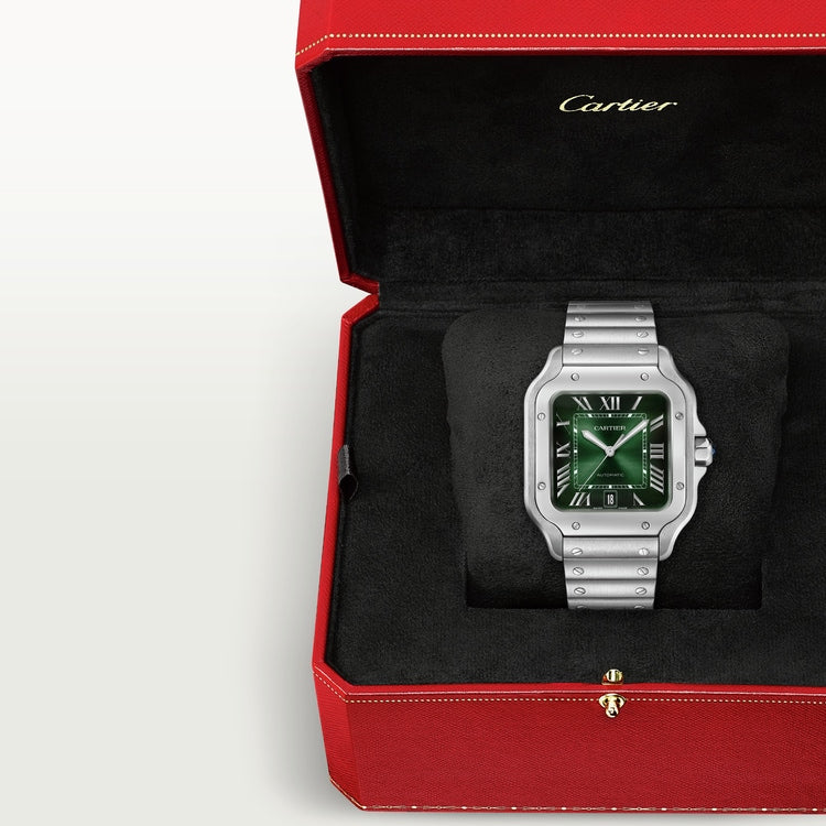 Cartier SANTOS DE CARTIER WATCH - WSSA0062 Watches