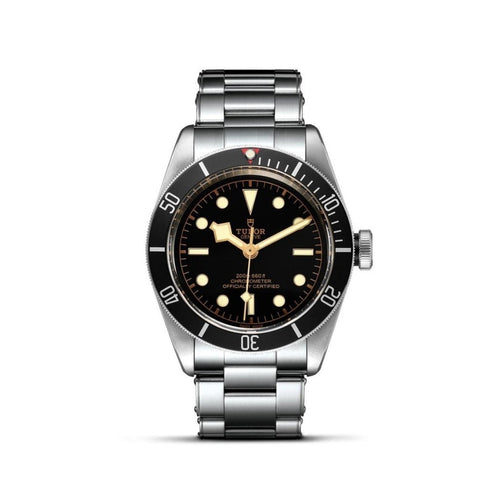 TUDOR Black Bay Watches M79230N-0009