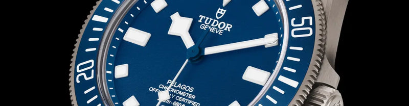 TUDOR PELAGOS FXD