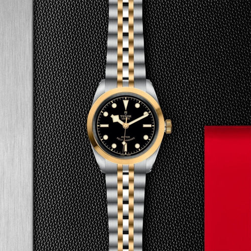 TUDOR Black Bay 32 S&G - M79583-0001 Watches