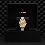TUDOR Black Bay 32 S&G Watches M79583 - 0002