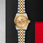 TUDOR Black Bay 36 S&G - M79503 - 0002 Watches
