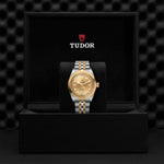 TUDOR Black Bay 36 S&G - M79503-0002 Watches