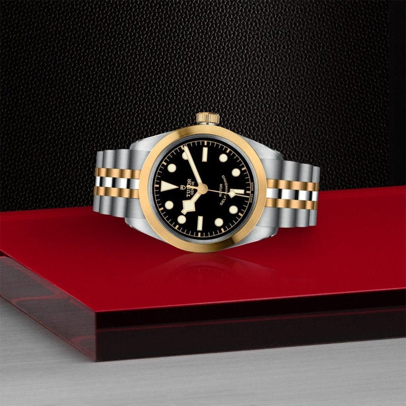 TUDOR Black Bay 36 S&G Watches M79503-0001