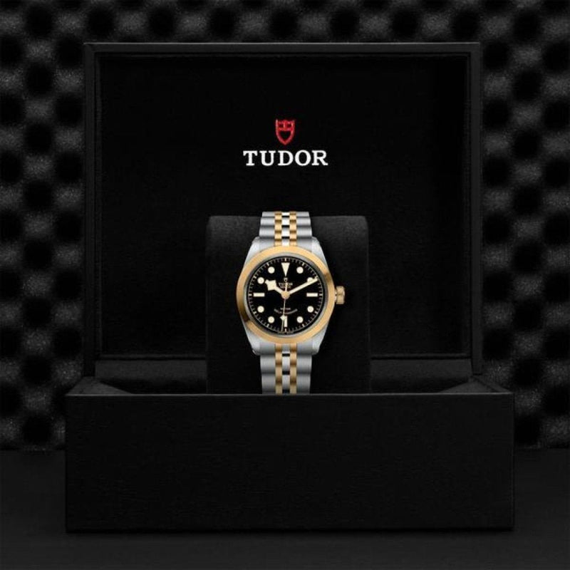 TUDOR Black Bay 36 S&G Watches M79503-0001