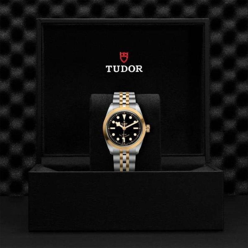 TUDOR Black Bay 36 S&G Watches M79503 - 0001