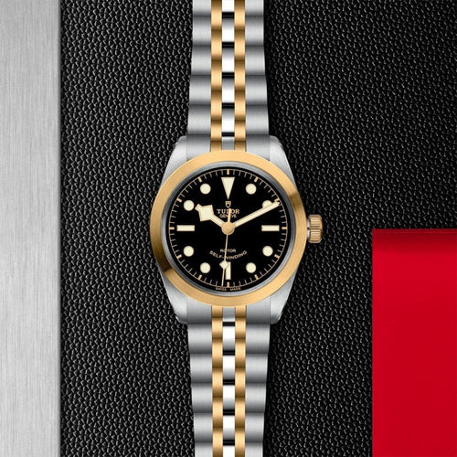 TUDOR Black Bay 36 S&G Watches M79503-0001