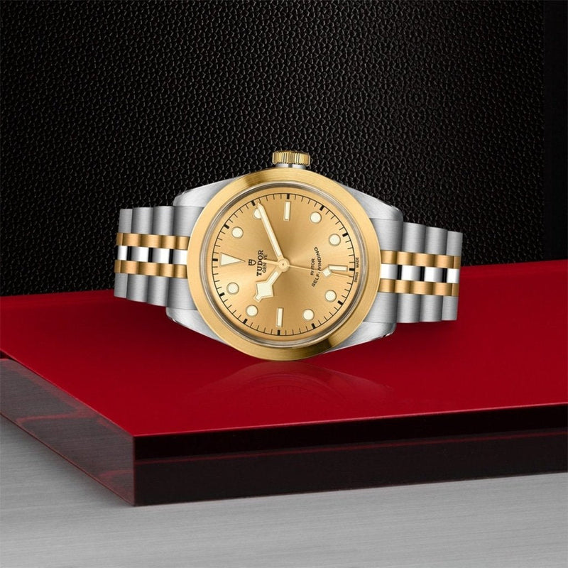 TUDOR Black Bay 41 S&G - M79543-0002 Watches