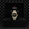 TUDOR Black Bay 41 S&G Watches M79543-0001