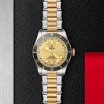 TUDOR Black Bay S&G - M79733N - 0004 Watches