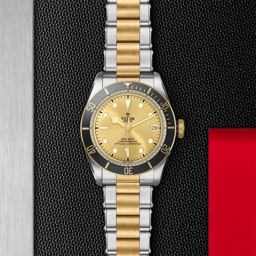 TUDOR Black Bay S&G - M79733N-0004 Watches