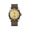 TUDOR Black Bay S&G - M79733N - 0006 Watches