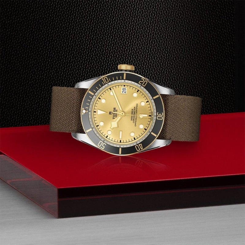 TUDOR Black Bay S&G - M79733N - 0006 Watches