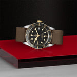 TUDOR Black Bay S&G Watches M79733N-0005