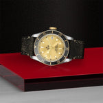 TUDOR Black Bay S&G Watches M79733N-0003
