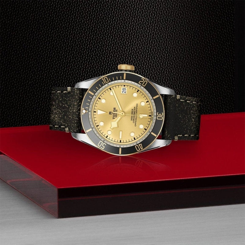 TUDOR Black Bay S&G Watches M79733N-0003