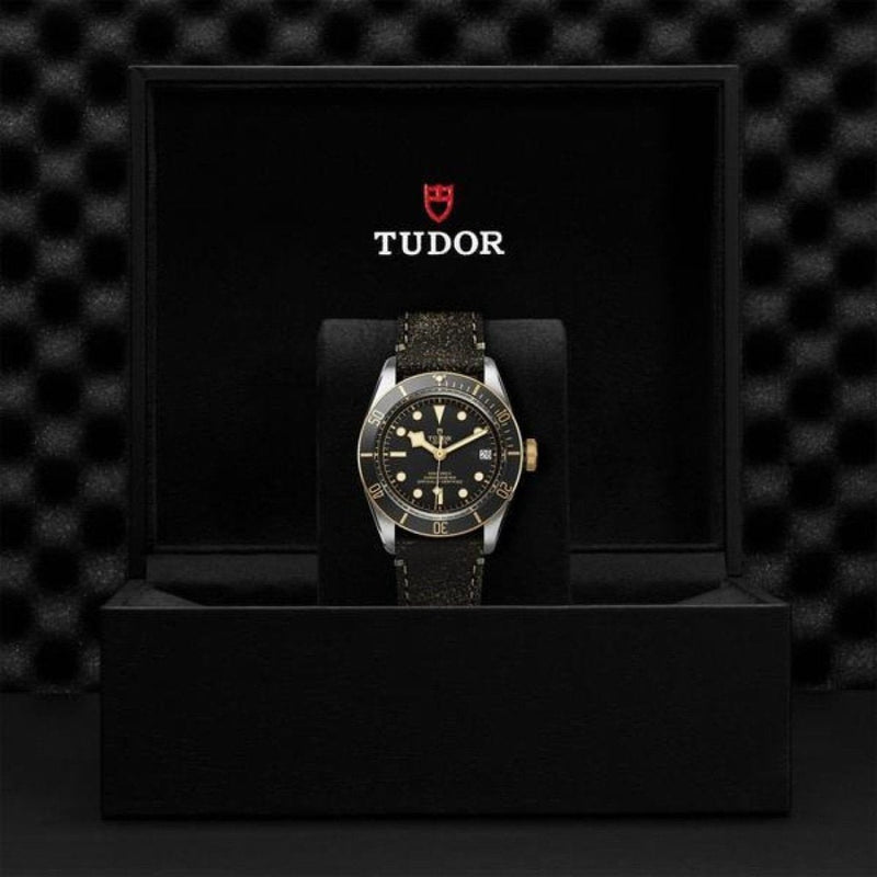 TUDOR Black Bay S&G Watches M79733N-0007