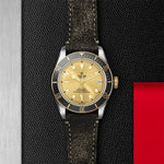 TUDOR Black Bay S&G Watches M79733N-0003