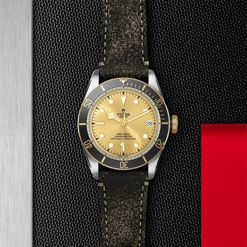 TUDOR Black Bay S&G Watches M79733N-0003