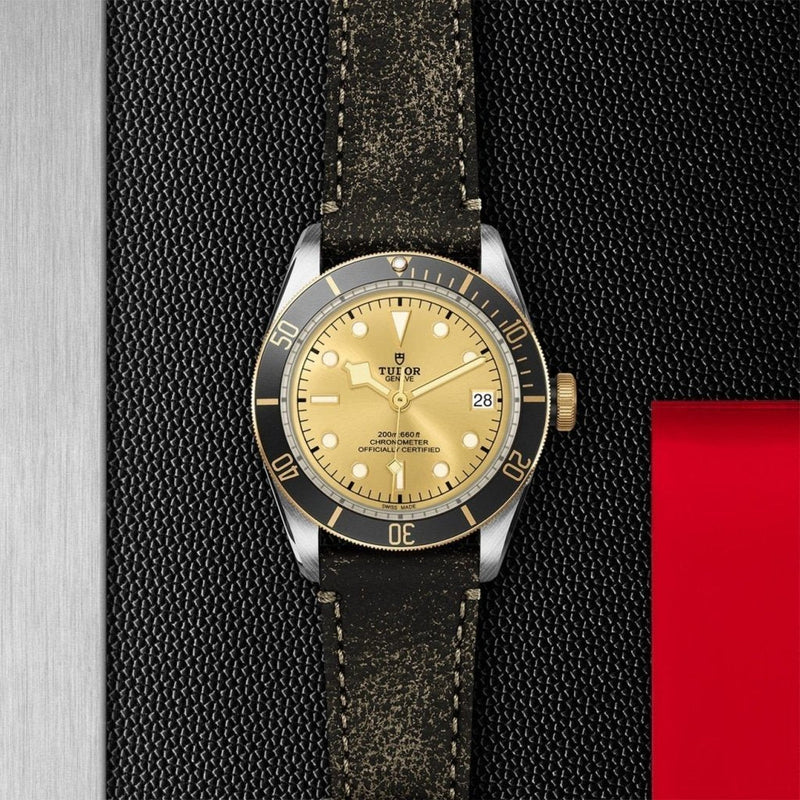 TUDOR Black Bay S&G Watches M79733N-0003