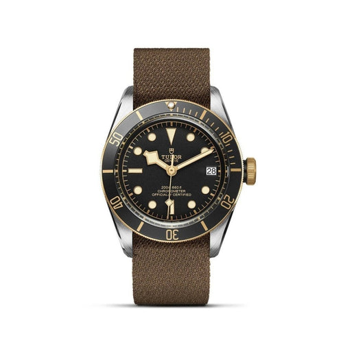 TUDOR Black Bay S&G Watches M79733N-0005