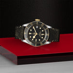 TUDOR Black Bay S&G Watches M79733N-0007