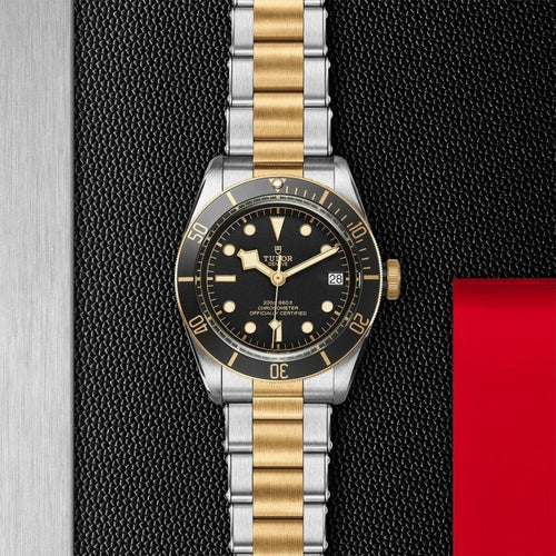 TUDOR Black Bay S&G Watches M79733N-0008