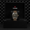 TUDOR Black Bay S&G Watches M79733N - 0005