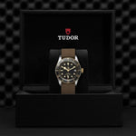 TUDOR Black Bay S&G Watches M79733N-0005