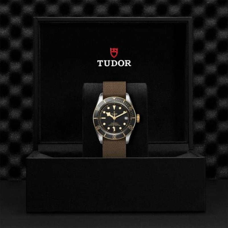 TUDOR Black Bay S&G Watches M79733N-0005