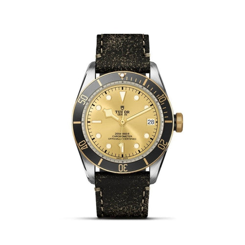 TUDOR Black Bay S&G Watches M79733N-0003