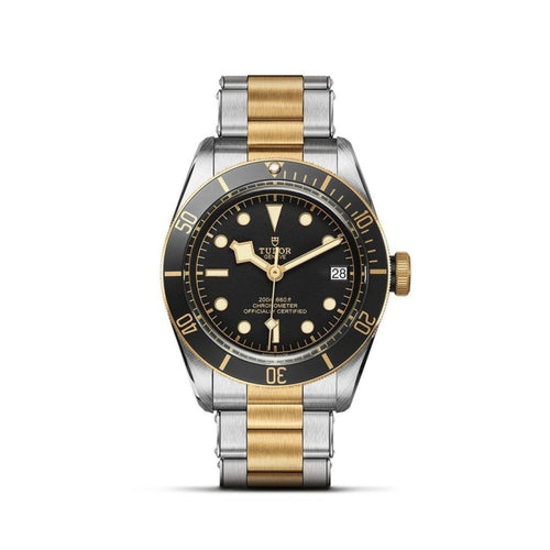 TUDOR Black Bay S&G Watches M79733N-0008