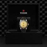 TUDOR Black Bay S&G Watches M79733N-0003