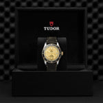 TUDOR Black Bay S&G Watches M79733N - 0003