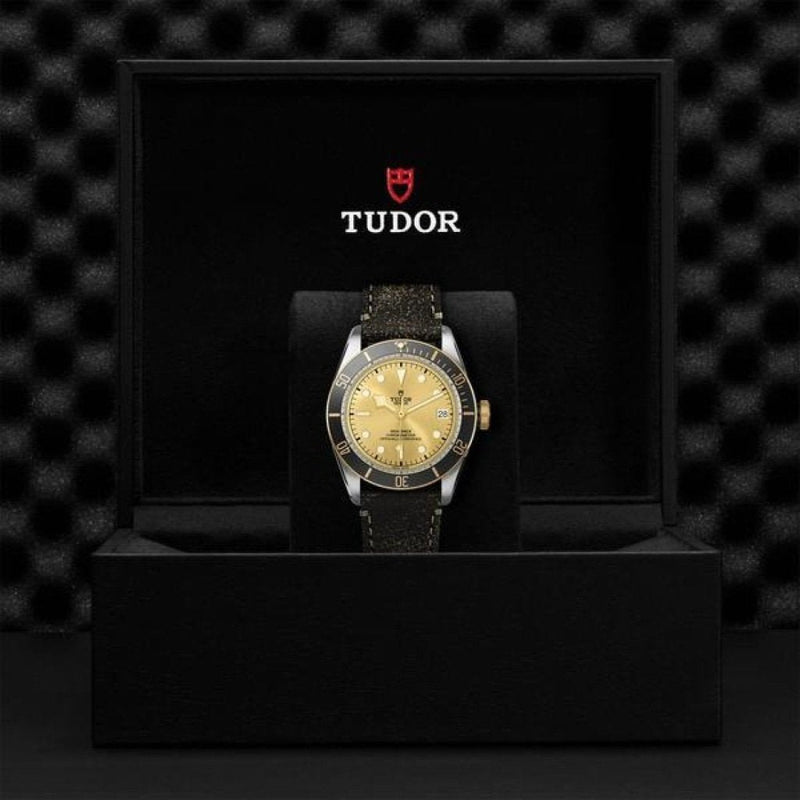 TUDOR Black Bay S&G Watches M79733N-0003