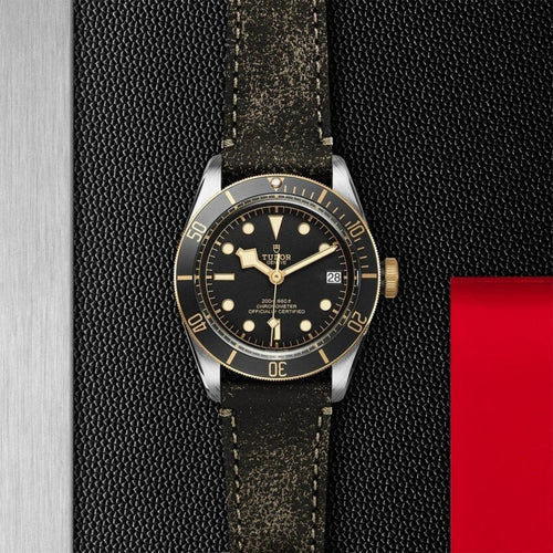 TUDOR Black Bay S&G Watches M79733N-0007