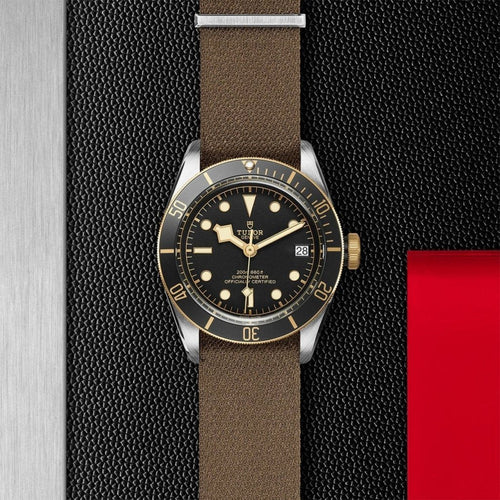 TUDOR Black Bay S&G Watches M79733N-0005