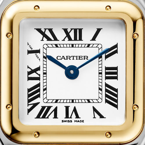 Cartier PANTHÈRE DE CARTIER WATCH - W2PN0006 Watches