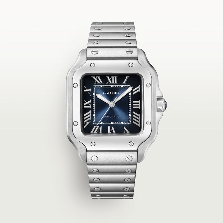 Cartier SANTOS DE CARTIER WATCH - WSSA0063 Watches