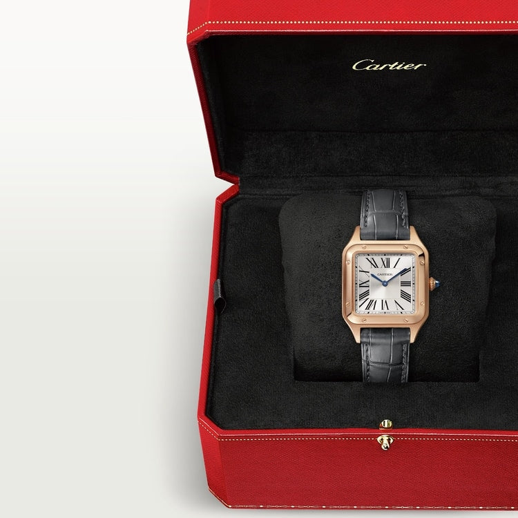 Cartier Santos-Dumont Watch - WGSA0022 Watches