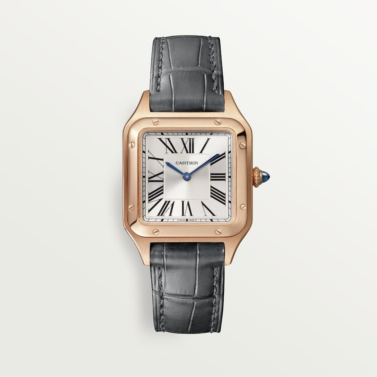 Cartier Santos-Dumont Watch - WGSA0022 Watches