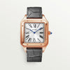 Cartier Santos - Dumont Watch - WGSA0032 Watches