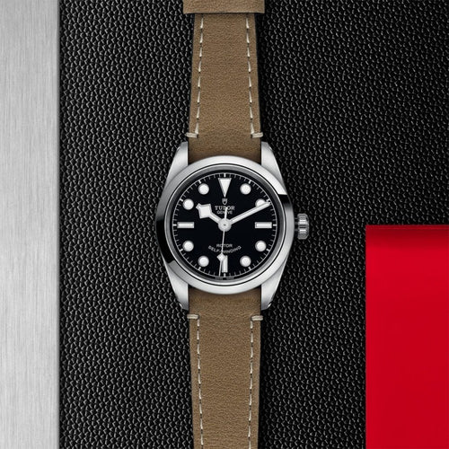 TUDOR Black Bay 32 - M79580-0002 Watches