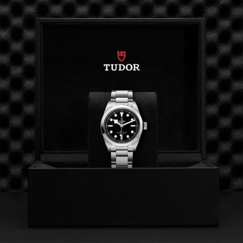 TUDOR Black Bay 36 - M79500-0007 Watches