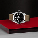 TUDOR Black Bay 36 - M79500-0008 Watches