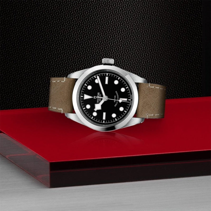 TUDOR Black Bay 36 - M79500-0008 Watches