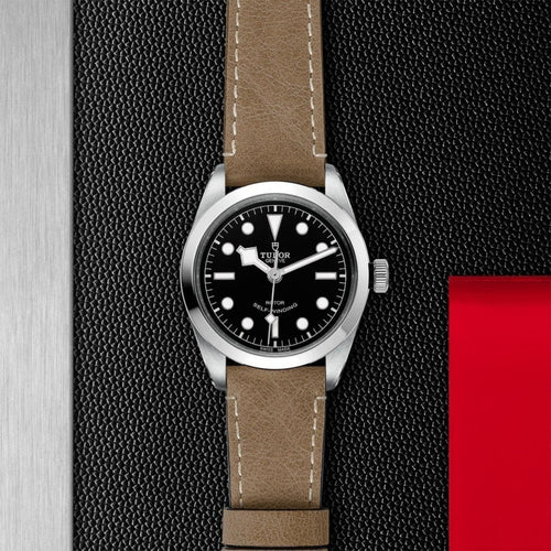 TUDOR Black Bay 36 - M79500-0008 Watches