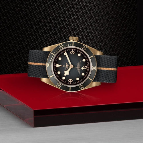 TUDOR Black Bay Bronze - M79250BA-0002 Watches